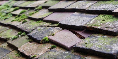 Great Chishill roof repair costs